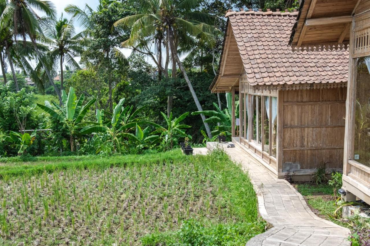 Kidem Ubud Villas Zewnętrze zdjęcie