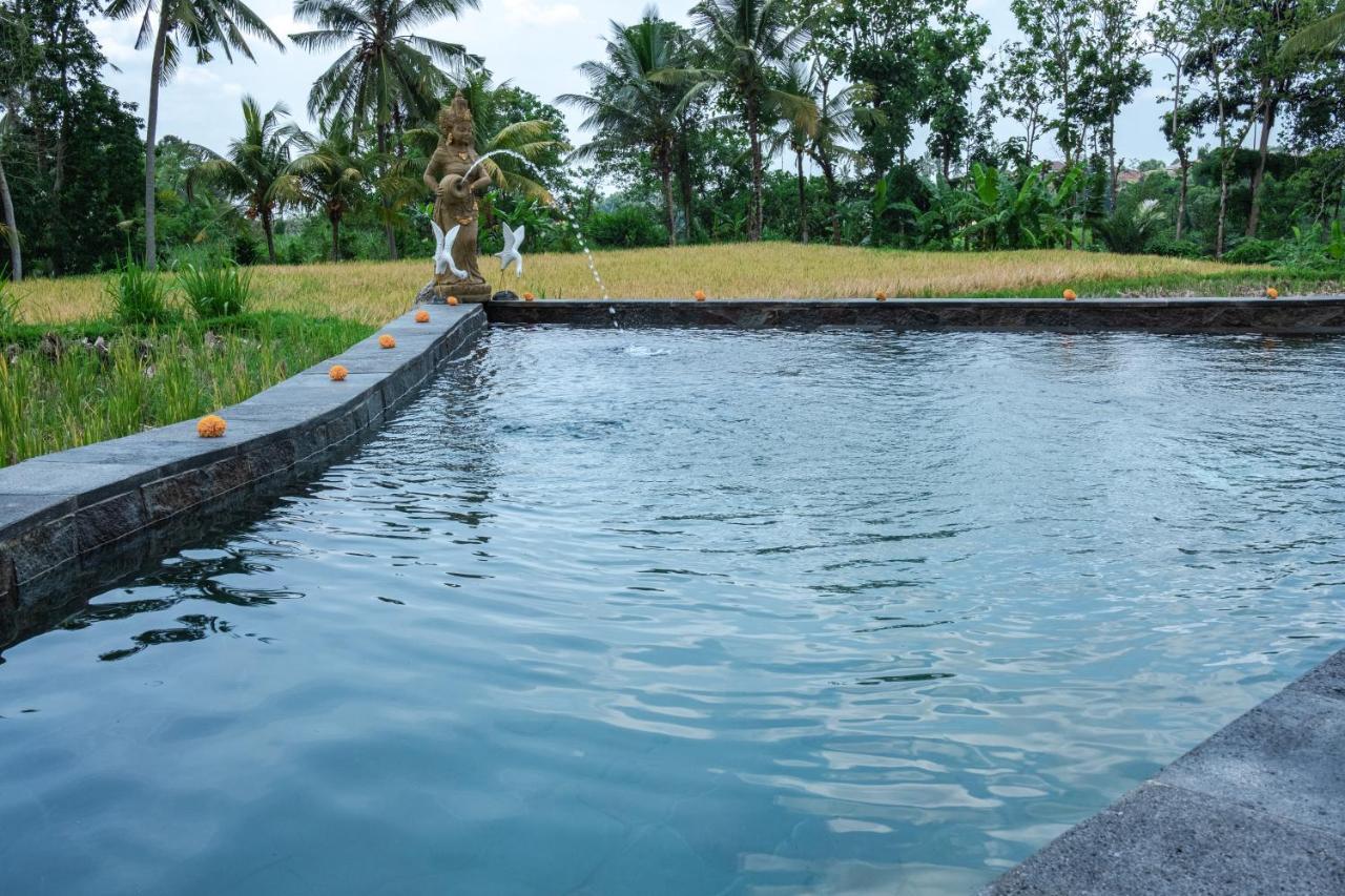 Kidem Ubud Villas Zewnętrze zdjęcie
