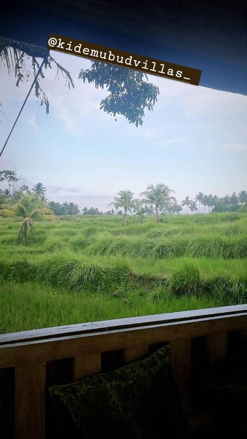 Kidem Ubud Villas Zewnętrze zdjęcie
